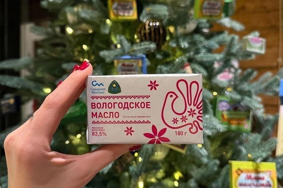 ВОЛОГДА – НОВОГОДНЯЯ СТОЛИЦА 2027: ДЫХАНИЕ РУССКОГО СЕВЕРА