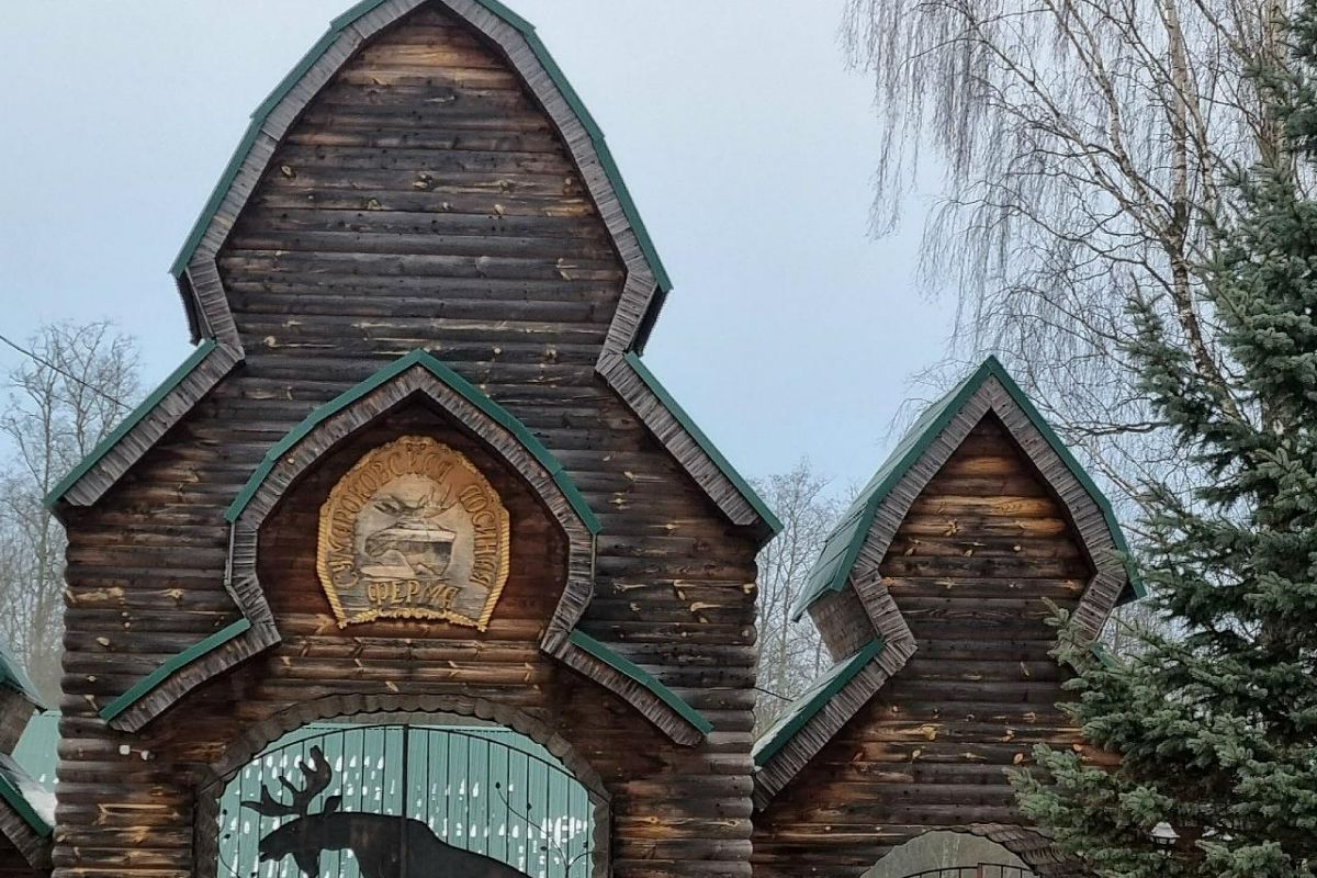 РОЖДЕСТВО В КОСТРОМЕ: ЛОСИ И КЛУБНИЧНАЯ ФЕРМА